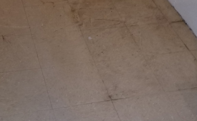 Dull Looking VCT Floor